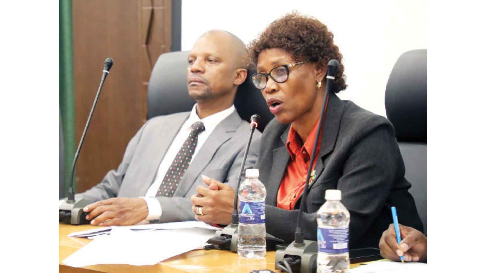 Scheme to install 1,2m solar kits in rural areas