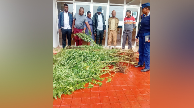 Ubotshiwe otholakale elime imbanje ensimini yomumbu