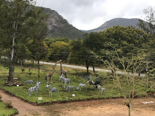 Vumba Gateway Gardens: A living postcard