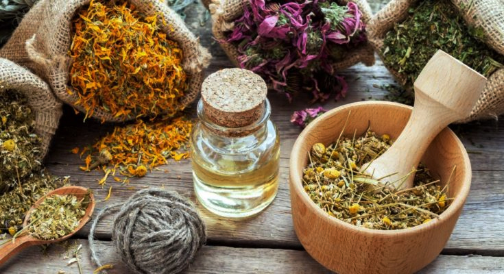 For generations, these plants have been central to traditional healing, nutrition, cosmetics, and spiritual practices