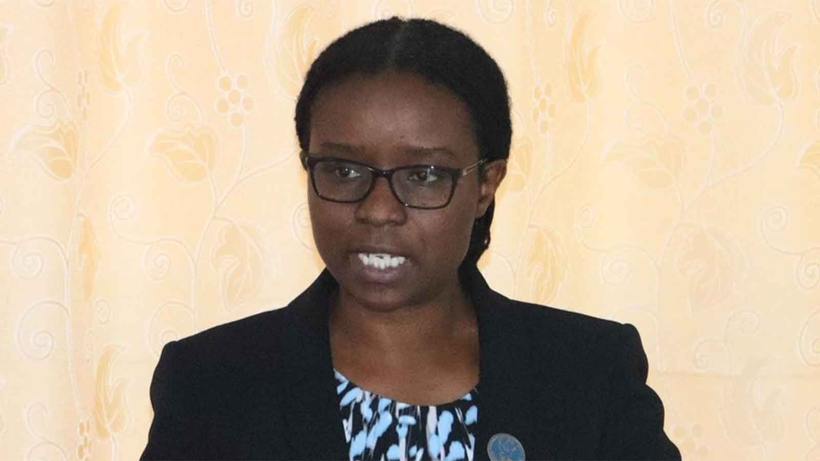 Zim hosts UN envoys as Security Council campaign gathers momentum