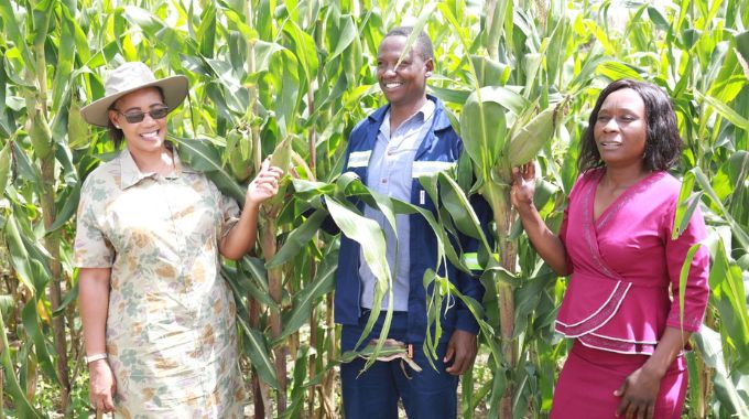 Umguza farmers urged to invest in own inputs