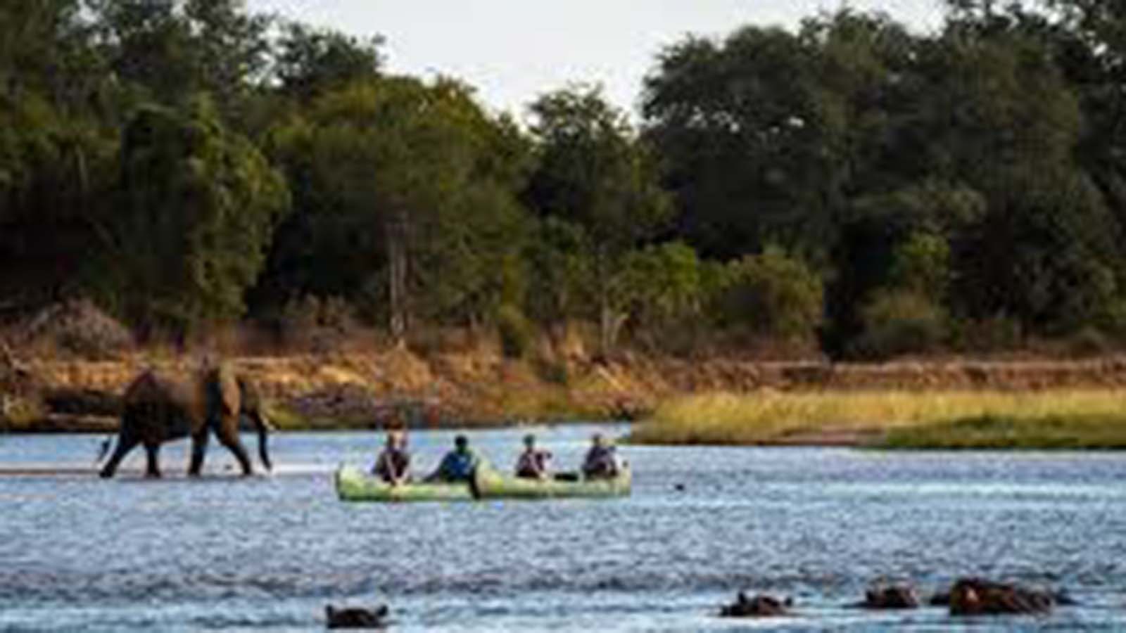Floods damage infrastructure at Mana Pools, ZimParks issues travel advisory