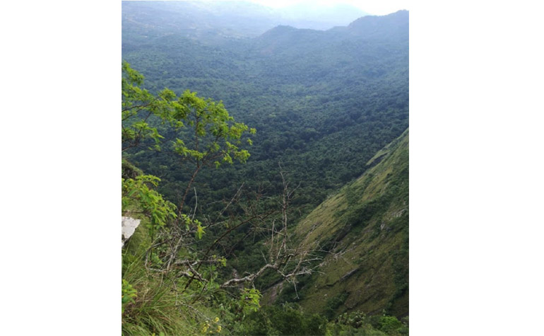 Of hiking experience, wild beauty of Chinyamaura Mountain