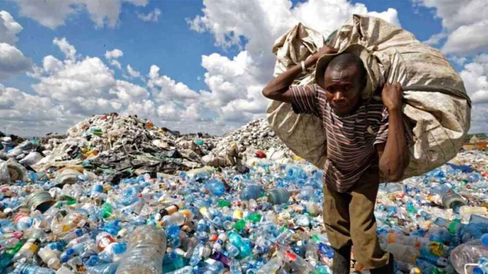 Plastic bottle collectors turn waste into wealth