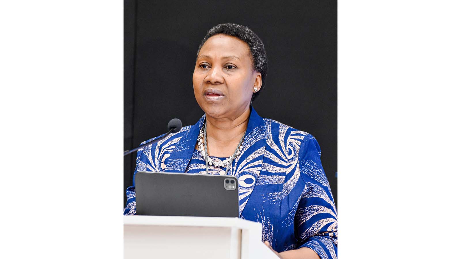 NEW: SADC PF, AFRODAD gather parliamentarians for capacity building on debt management and fiscal oversight