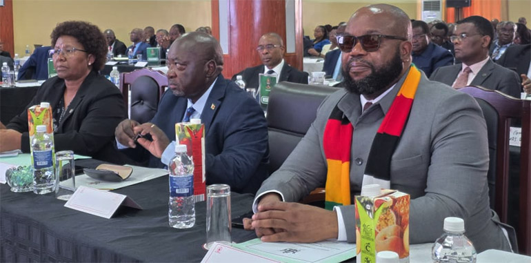 Chief Secretary to the President and Cabinet, Dr Martin Rushwaya (centre) and Minister of State for Manicaland Provincial Affairs and Devolution, Advocate Misheck Mugadza (right) follow proceedings during the Validation of 2026 Performance Contracts for top public sector officials at a Mutare hotel on Wednesday