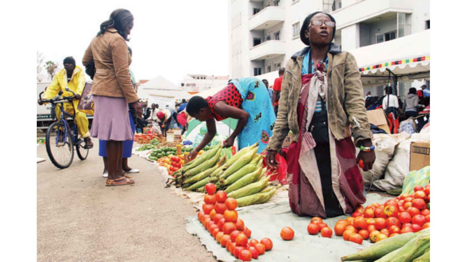 Bridging the gaps as we celebrate International Women’s Month