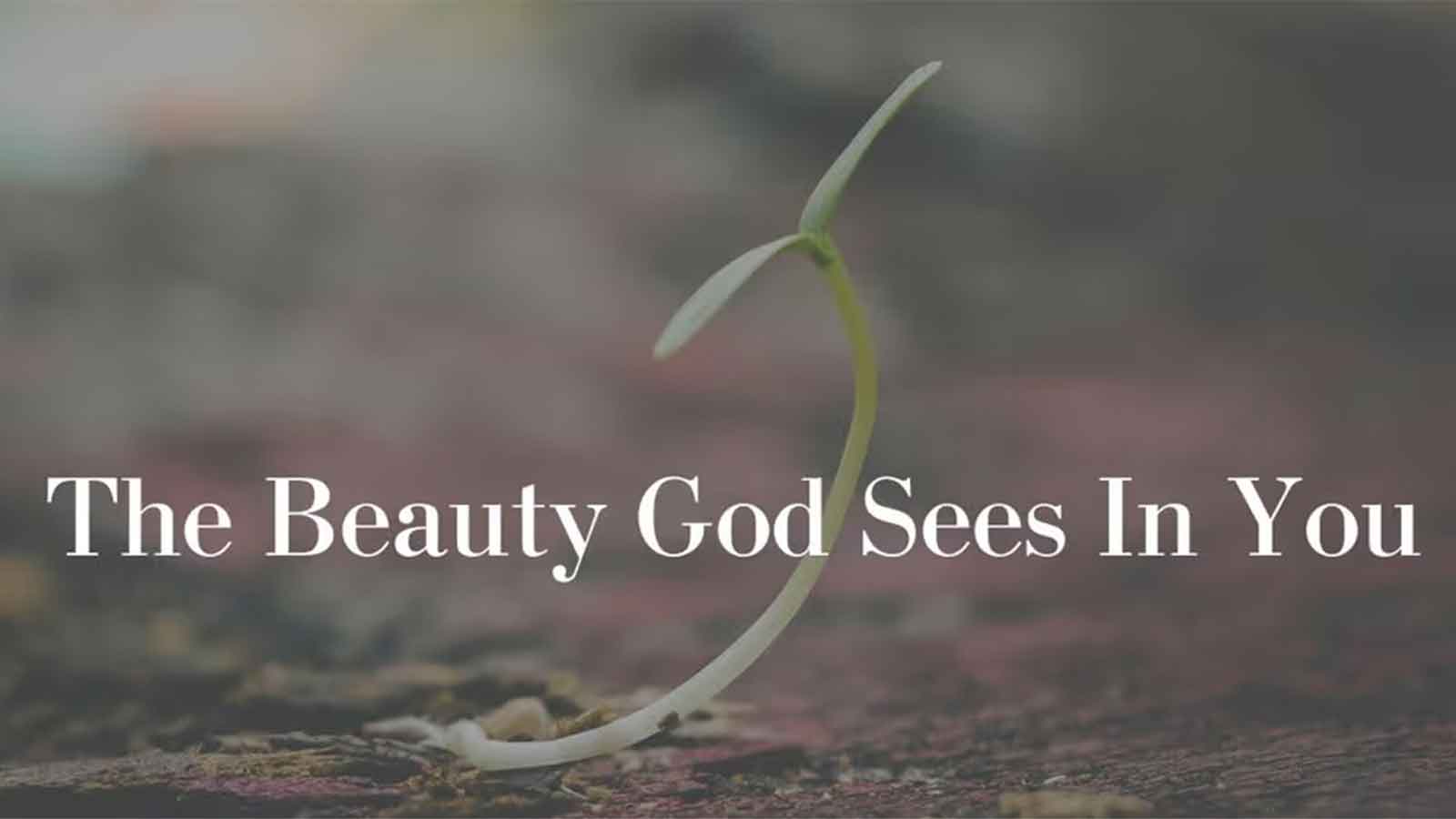 Witness to God by showing people his beauty