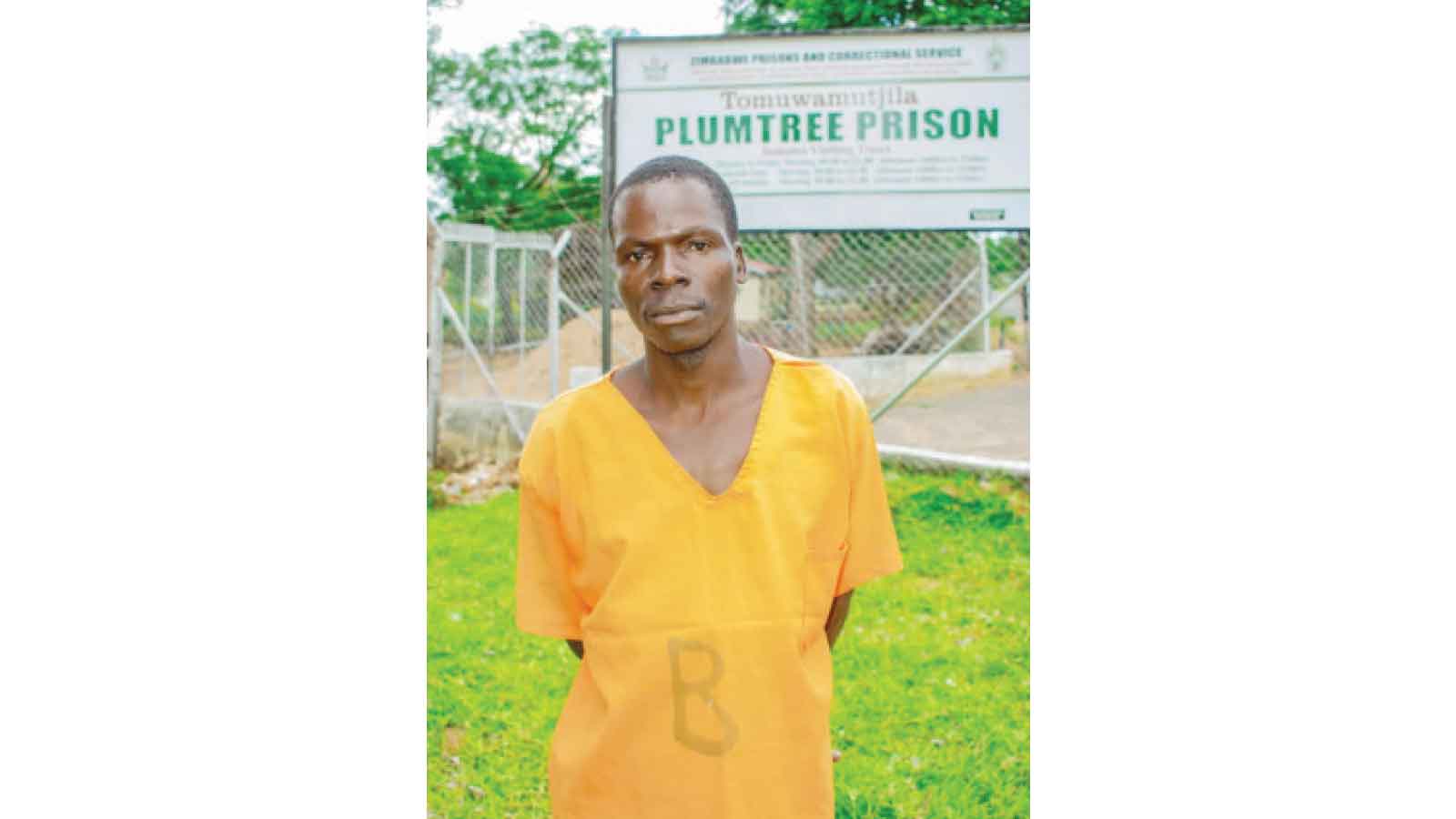 Another chance in the sun . . . Tears, hope and homecomings at Plumtree Prison