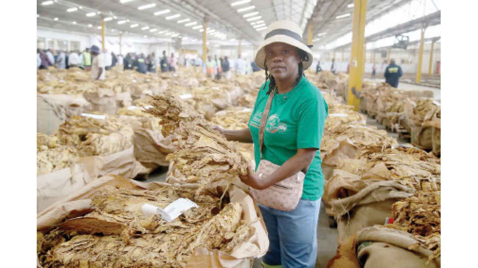 Govt cracks whip on idle merchants to improve tobacco prices