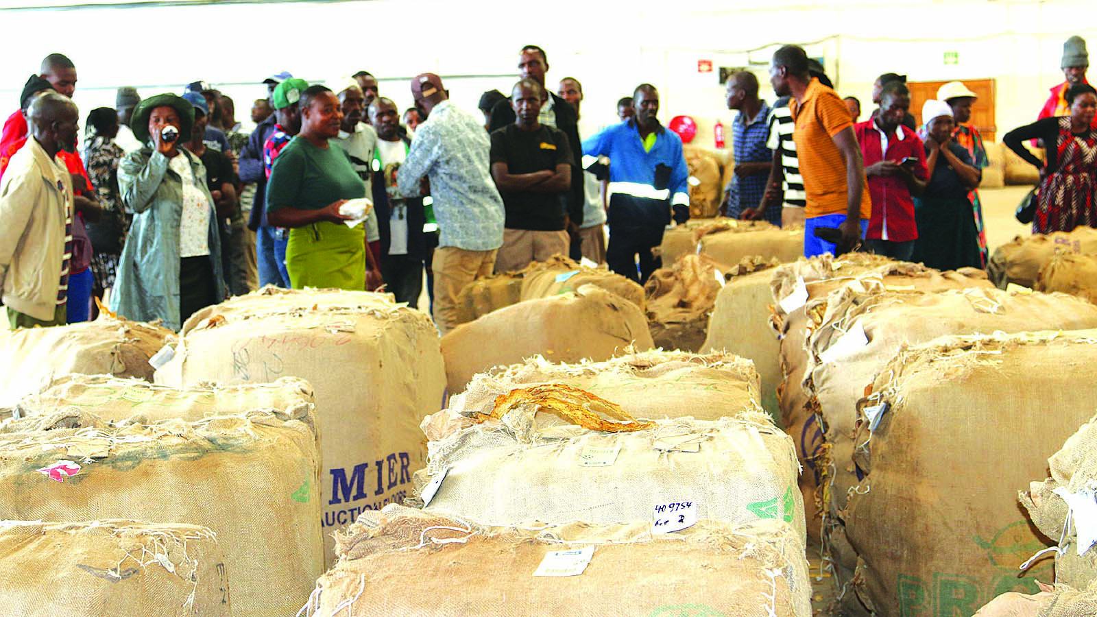 lane limited tobacco Lane 1Q (Bulk)