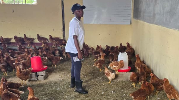 Young women lead historic egg layer project transforming Bulilima’s rural economy