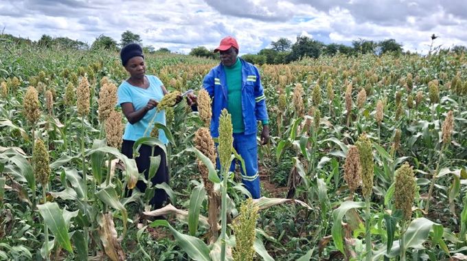 Bubi lead farmers — vital catalysts for technology adoption, rural industrialisation