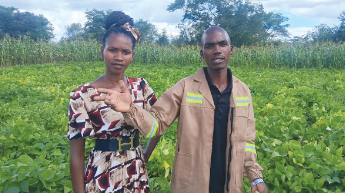 Nkayi couple leads cash crop revolution