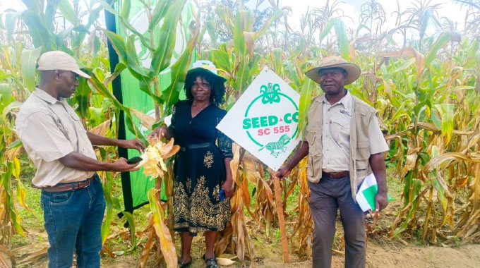 Esidakeni Nutrition Garden beacon for Umzingwane