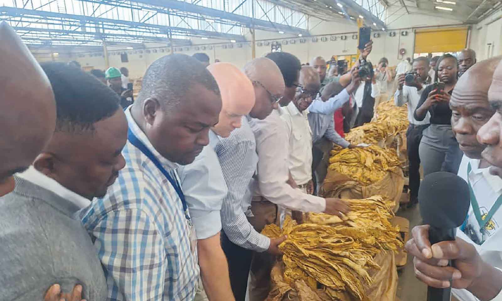 Over 36 000kg sold on opening day of tobacco marketing season