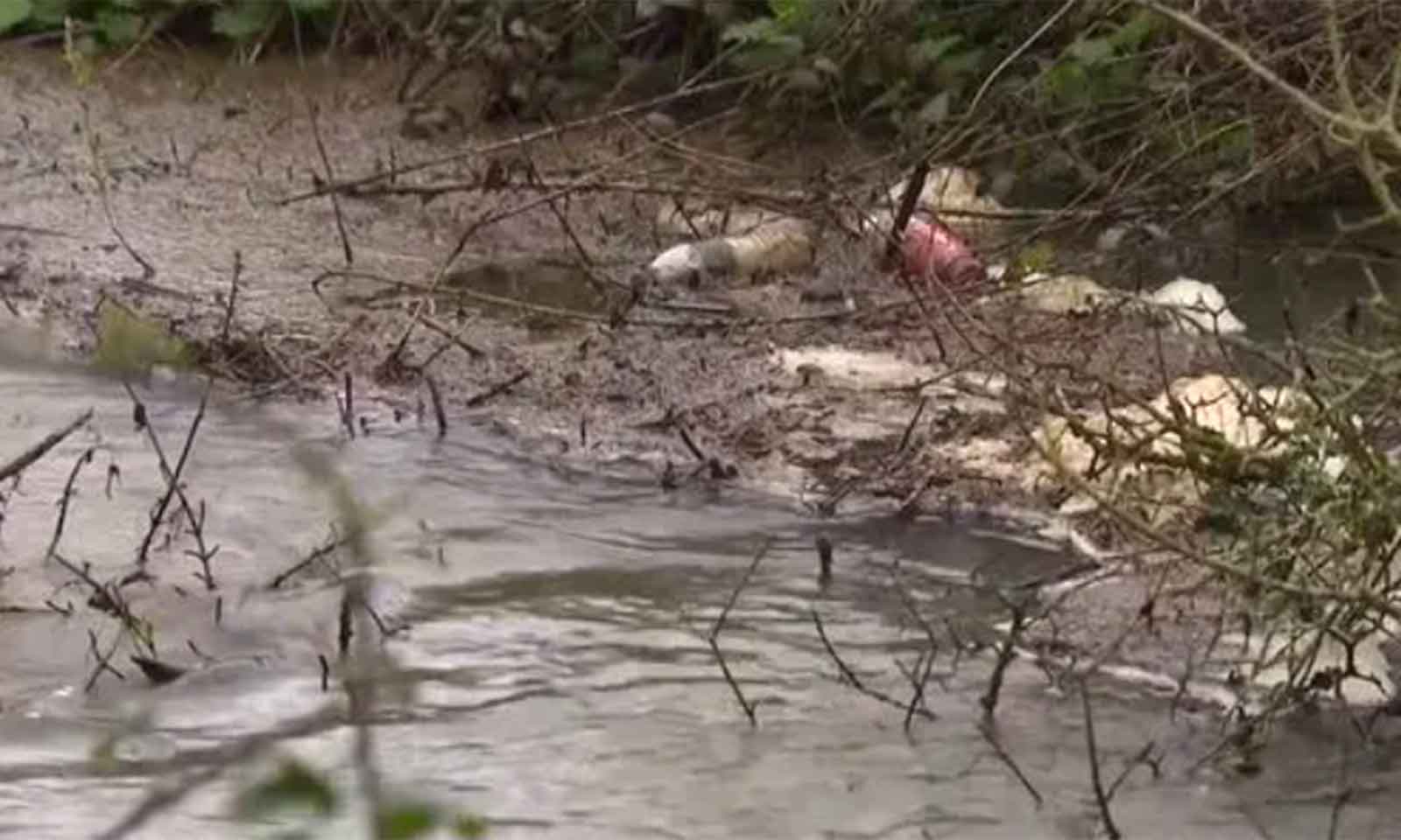 SEWAGE SPILLS IN ENGLAND FALL 35 PERCENT AS DROUGHT CURBS INFLOWS
