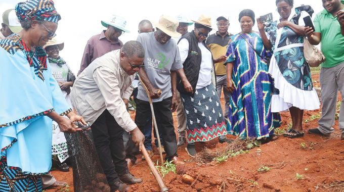 From land to output: How joint ventures are reshaping Zimbabwe’s farms