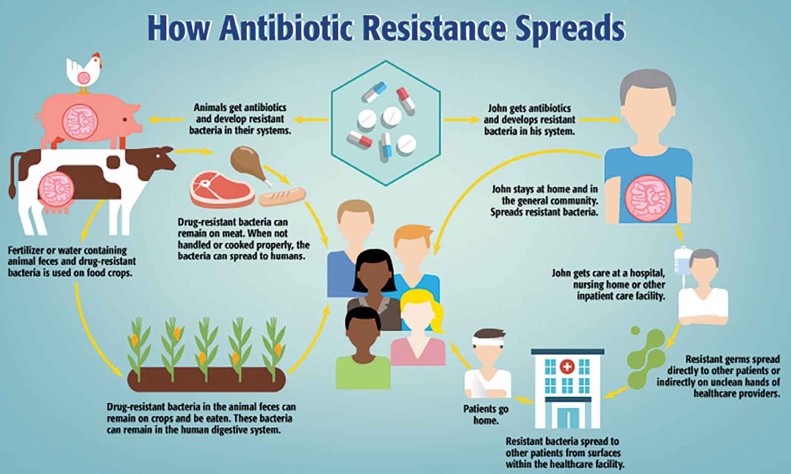 Responsible livestock production key to curbing microbial resistance