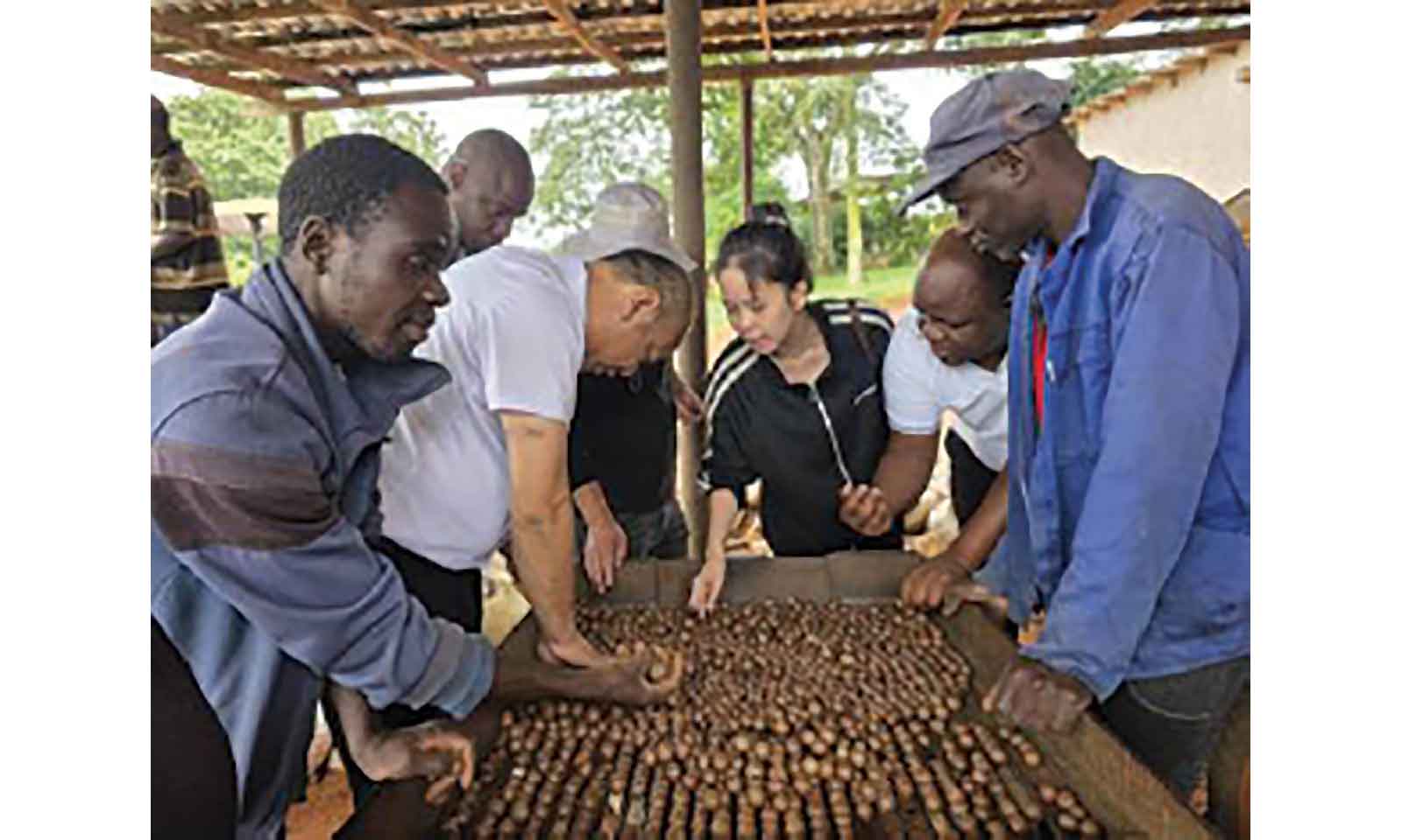 Zim earns US$12m from horticultural exports to China