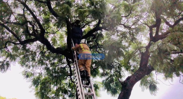 WATCH: Fire Brigade rescues suicidal man in Bulawayo
