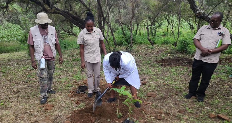 Forests fuel economic growth