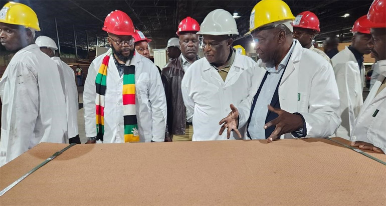 Over-harvesting haunts timber firms