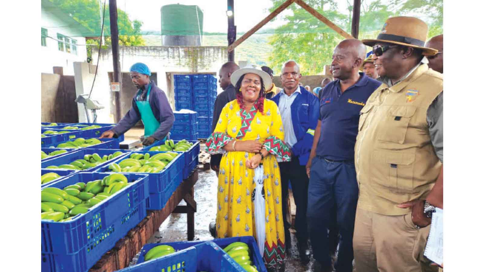 VP Chiwenga calls for more interfaces with industry