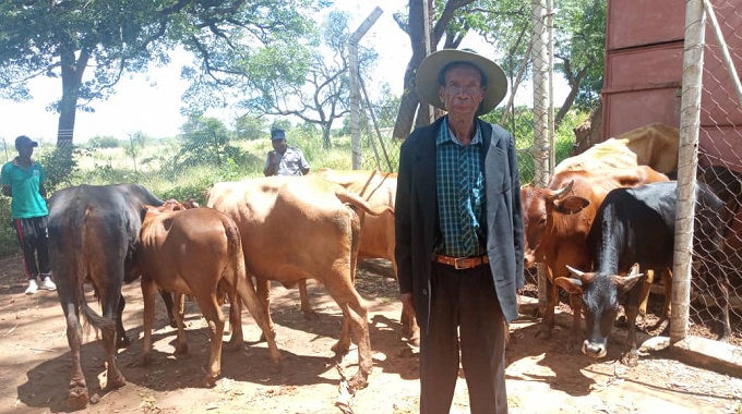 Mombe 9 dzaive dzabiwa mudanga rimwe dzawanikwa