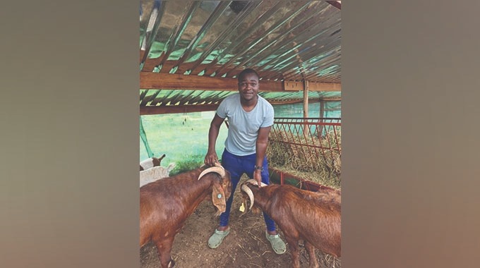 Gwanda youth sets up 150‑goat breeding  project in response to Government call