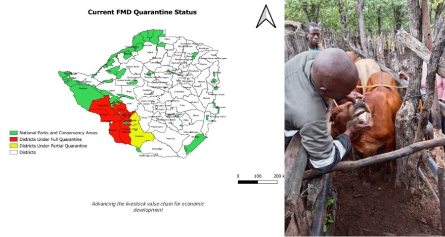 Government strengthens national FMD control strategies
