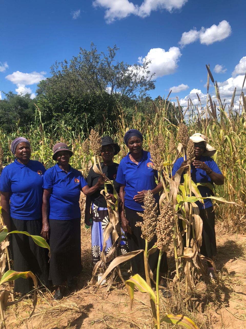 Bulilima Ward 4 women farmers urged to embrace small grains, wetlands conservation