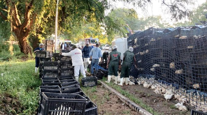 One dead after chicken truck collides with Toyota Passo
