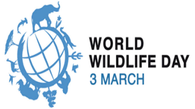 Kunanzwa usuku lweWorld Wildlife Day