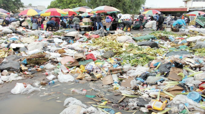 COMMENT: Bulawayo’s litter crisis: A mirror of  fading civic pride and financial illiteracy