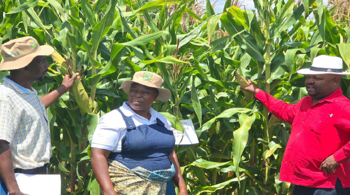 Bulilima stakeholders push for review of inputs allocation in Region 5