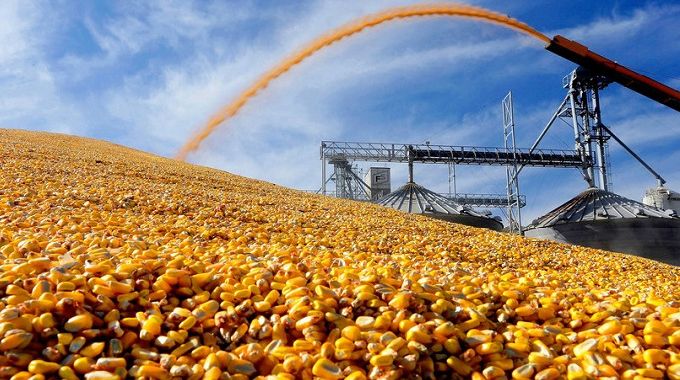 Zimbabwe moves to finalise biosafety report