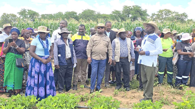 Deep in Ngwala, a family turns dust to destiny : The Ndlovus’ farming miracle