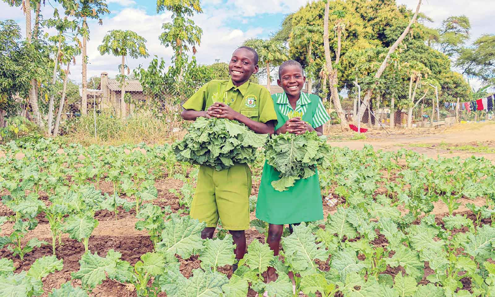 Household, school gardens key in advancing rural food security