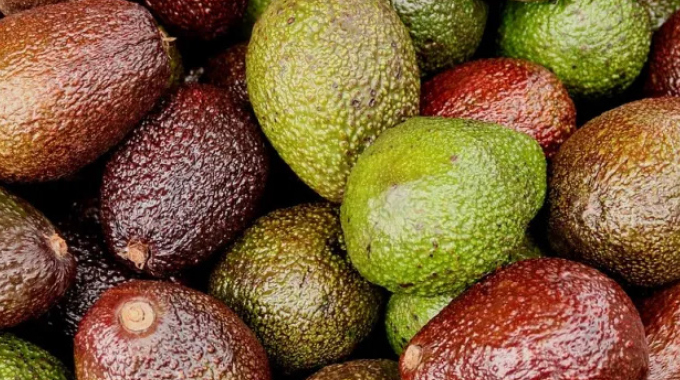 Local horticulture sector set for China market expansion