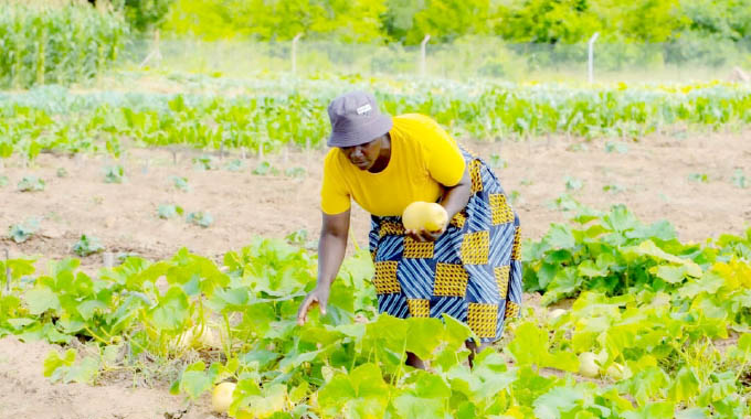 Weather tech transforms farming in  Masvingo as new stations empower villagers