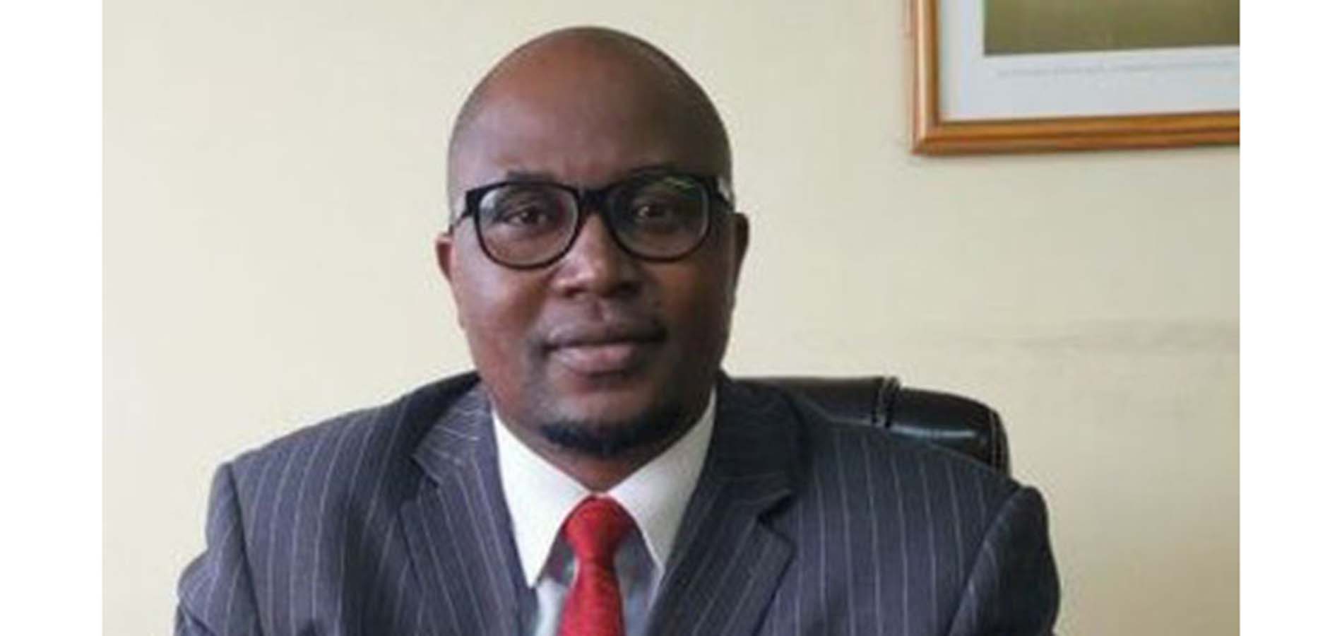 ZIM, UNDP zvosimbaradza mushandirapamwe