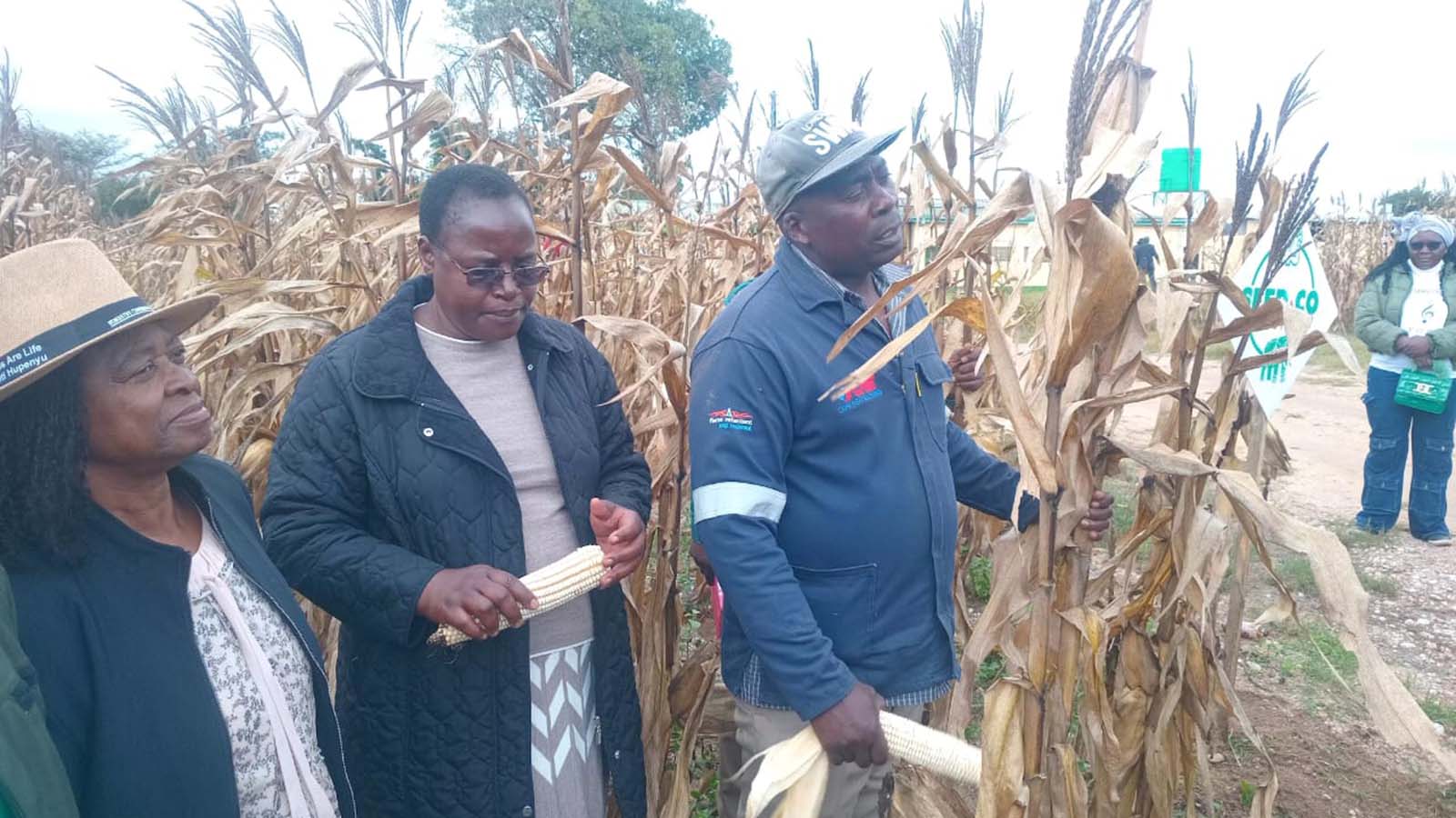 Dr Rushwaya earns plaudits for promoting Vision 2030