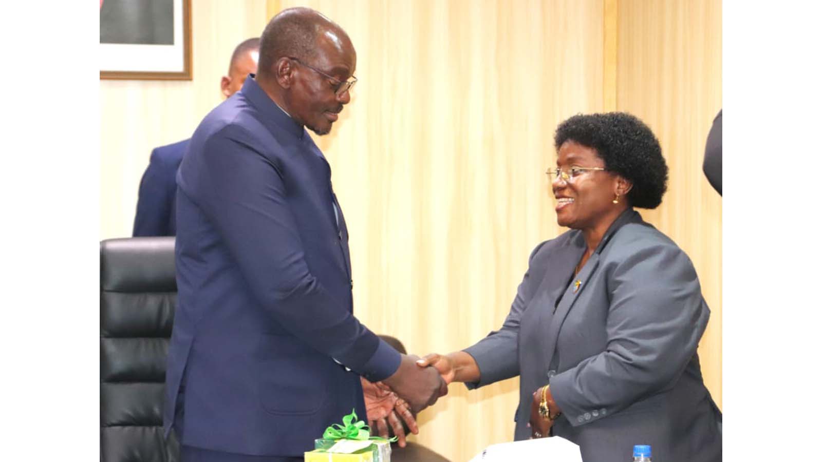 Tanzanian Ambassador pays courtesy call on VP Mohadi