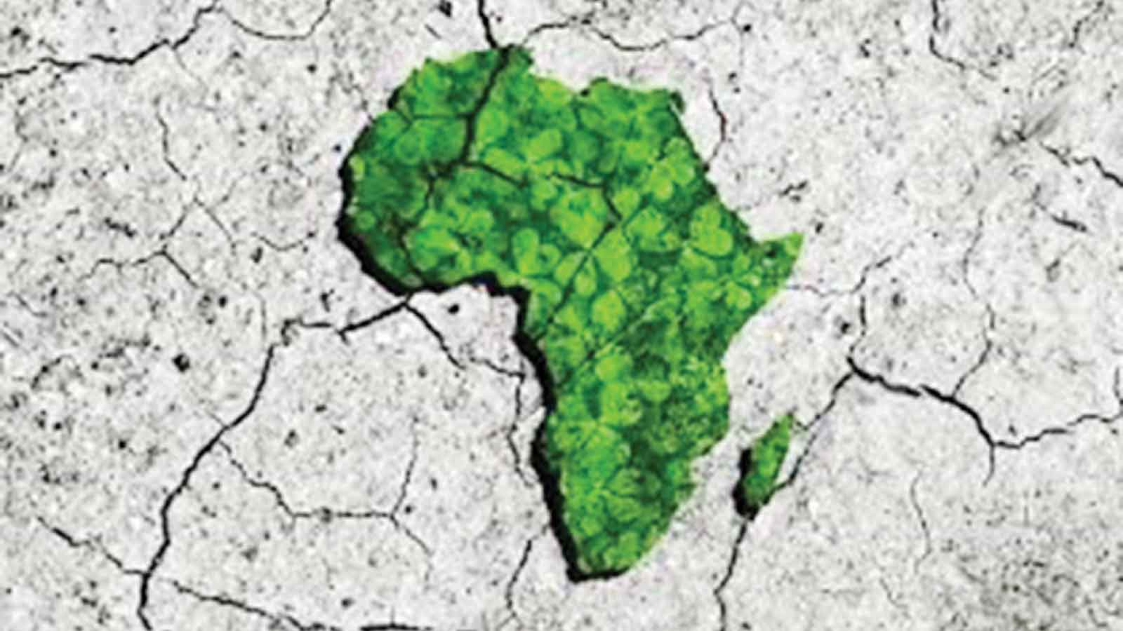 Why Africa needs a green bank to fund climate action