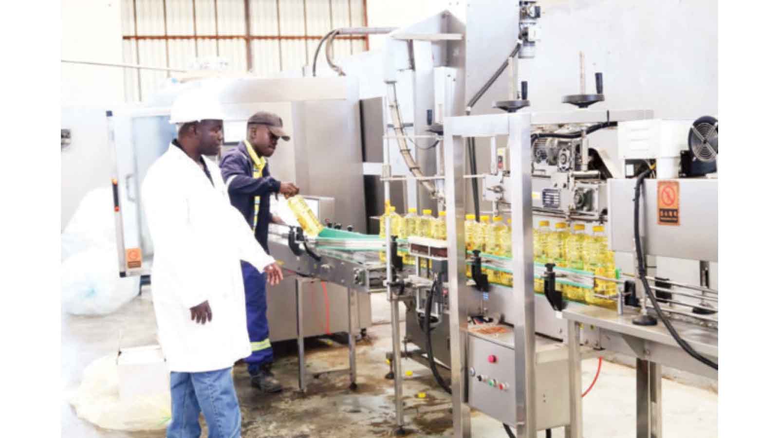 Biodiesel plant gathers momentum