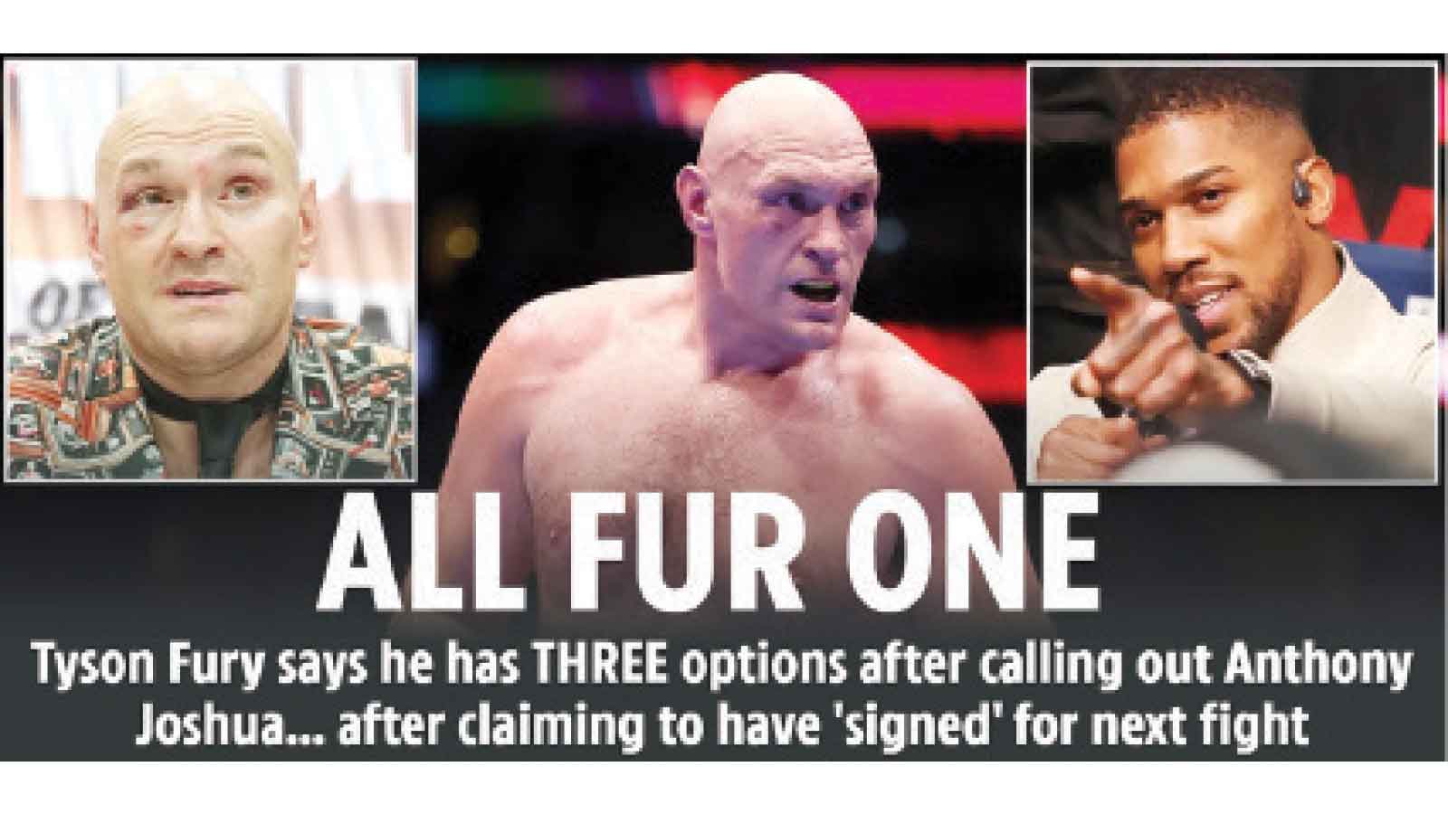 ALL FUR ONE