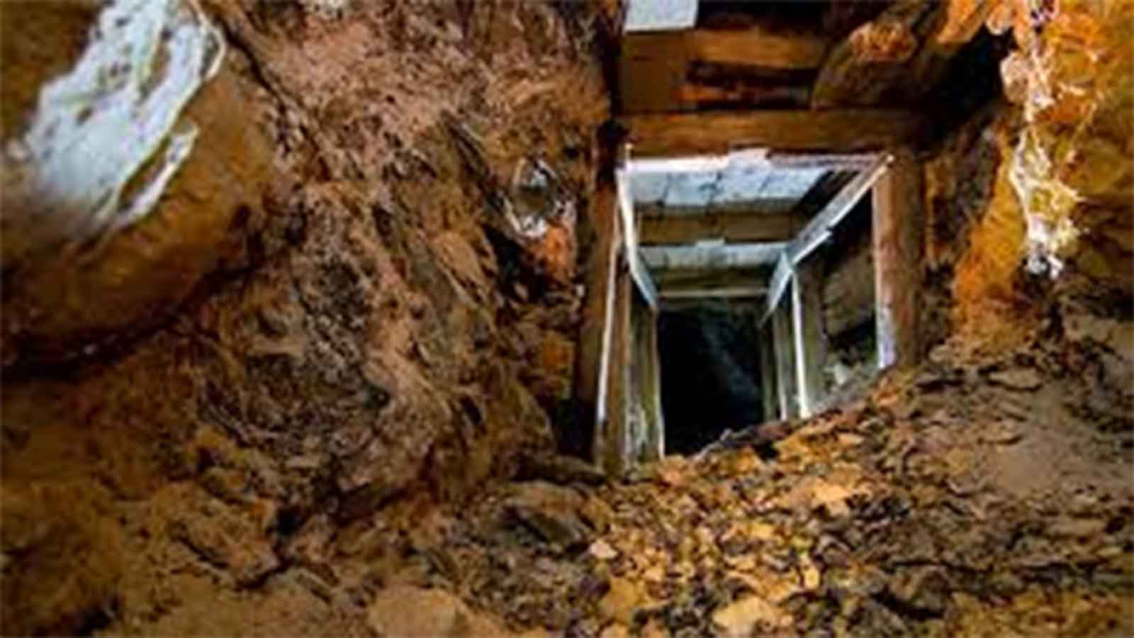Artisanal miner dies at Botha Mine . . . firm had defied Govt order to cease operations