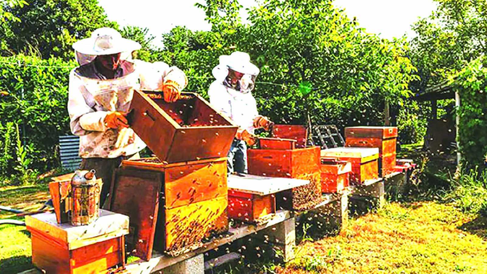ZimTrade ramps up heritage  product support to drive exports